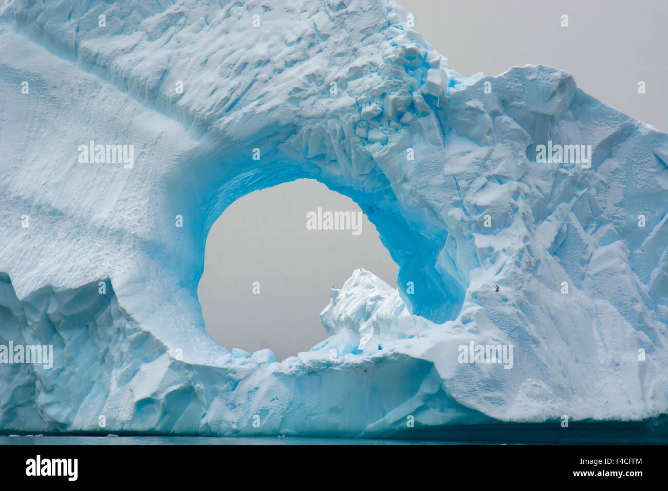 L'antarctique. Charlotte Bay. Iceberg géant avec un trou au milieu. Banque D'Images