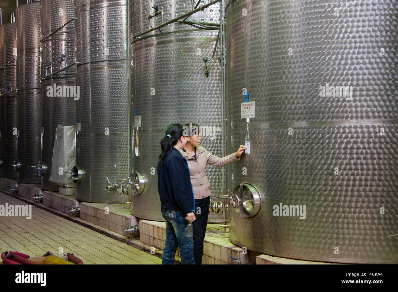 La Chine, Ningxia. Assistant vinificateur et cochez l'une des citernes en acier inoxydable utilisé par Dragon's Hollow winery à Pernod Richard's montagnes Helan installation. Banque D'Images