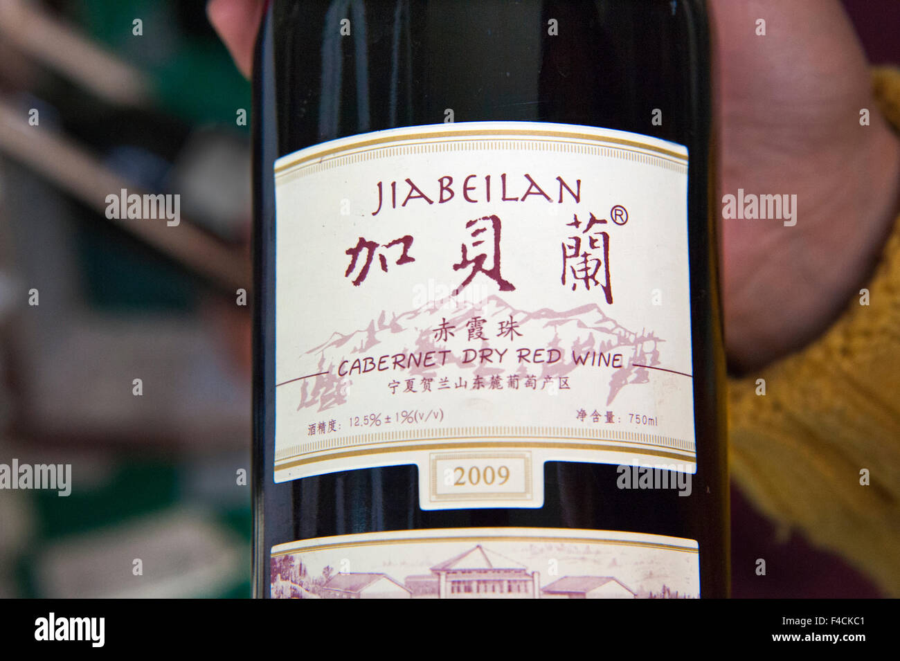 Yinchuan, Ningxia, Chine. Zhang Jing Jing (vigneron) Zhang est titulaire d'une bouteille de vin à l'Ima Bei Lan Xue Qing Helan Winery. Banque D'Images