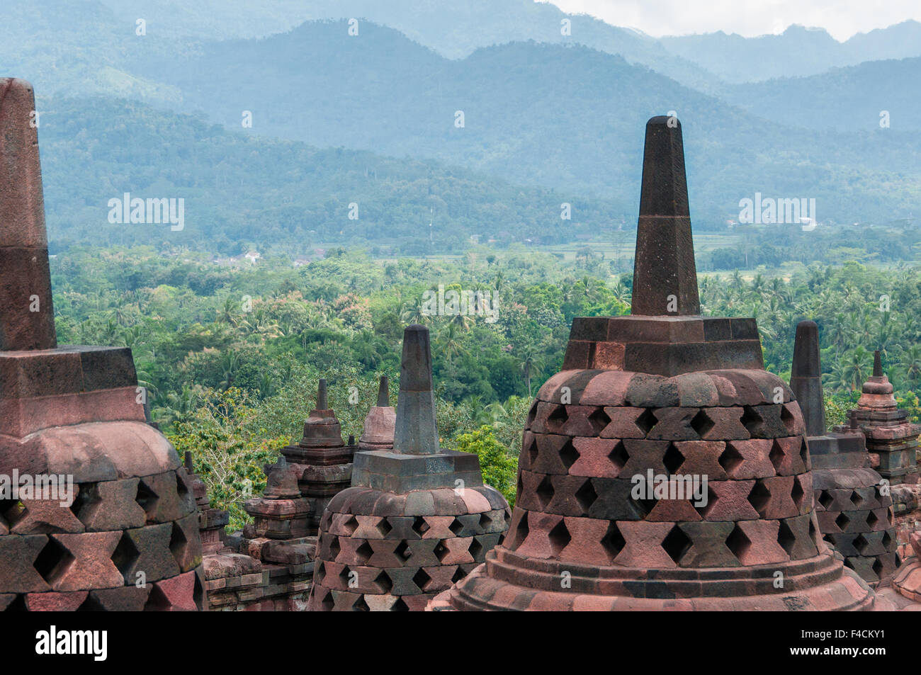 Stupas sur haut de Borobudur Banque D'Images