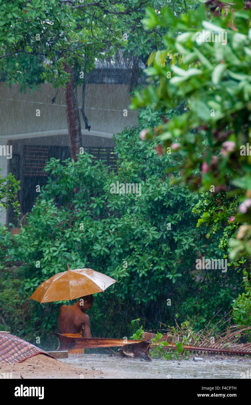 Moine Orange avec parapluie sous la pluie Banque D'Images