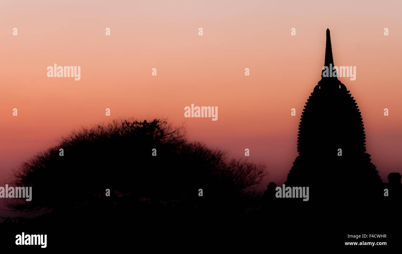 Silhouette d'un arbre et Pagoda au coucher du soleil à Bagan Banque D'Images