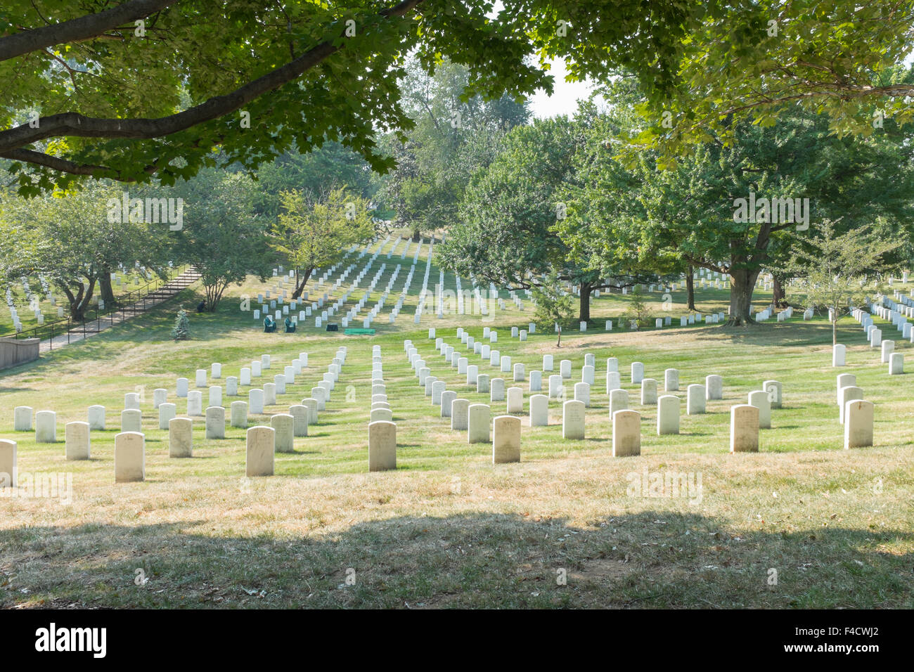 Des rangées de petites pierres tombales blanches au cimetière national d'Arlington, VA Banque D'Images
