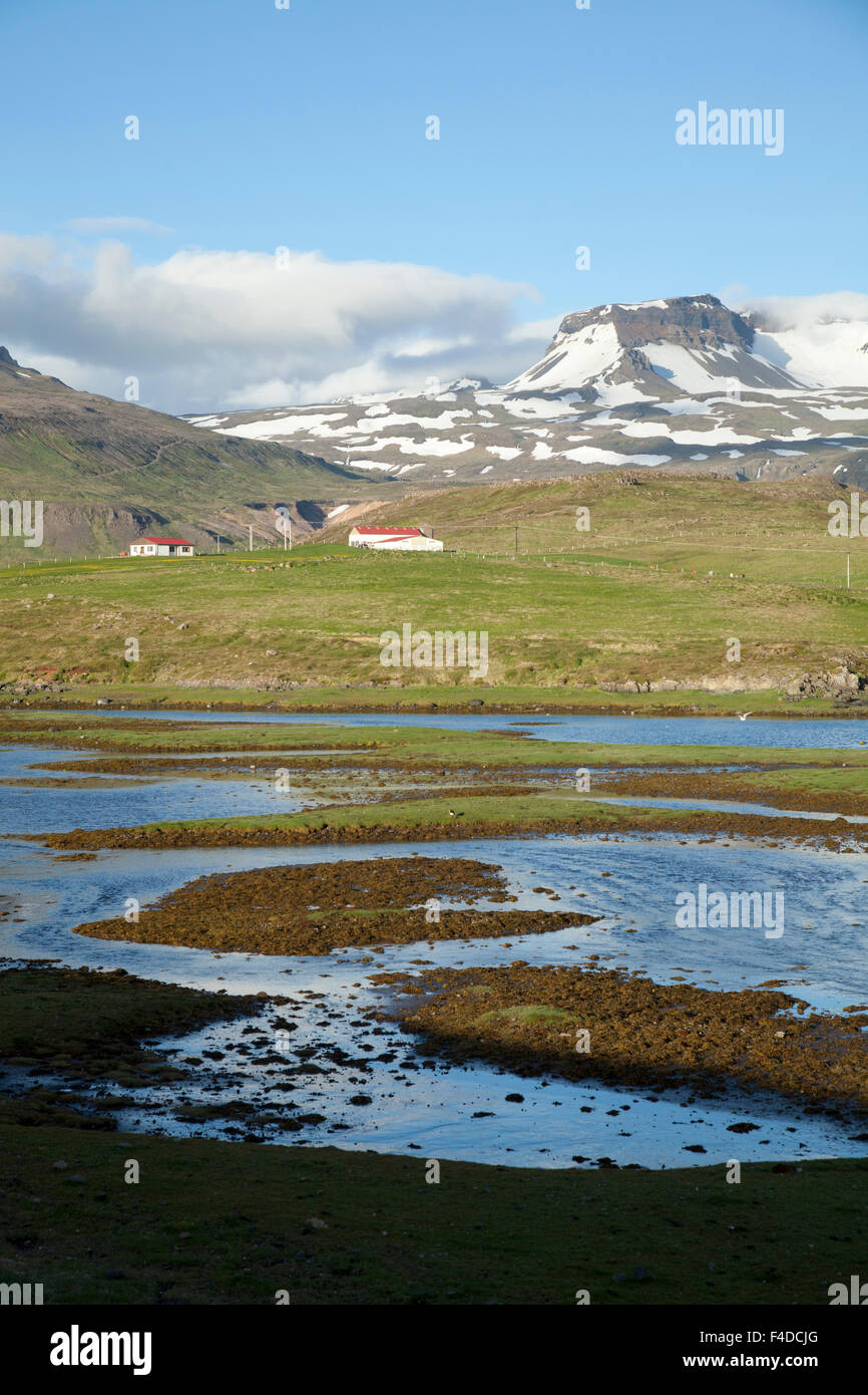Ferme de montagne près de Mavahlid, Péninsule de Snæfellsnes, Vesturland, Islande. Banque D'Images