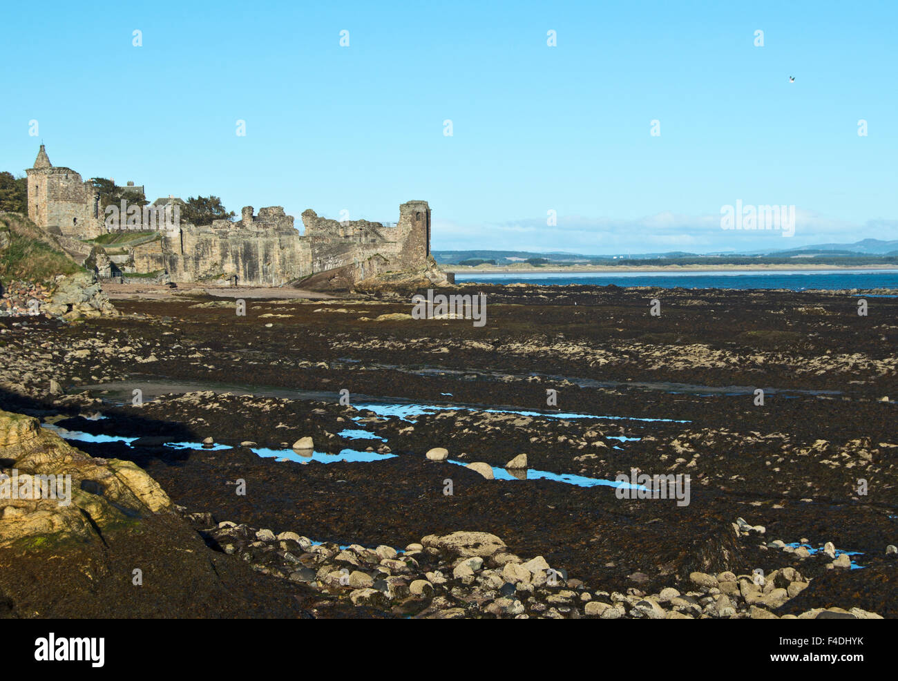 Le château de St Andrews, Écosse et des sables bitumineux de l'Ouest Banque D'Images