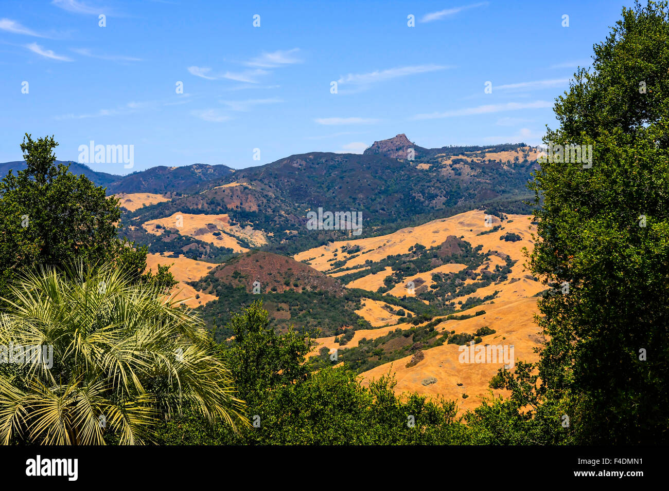 La succession de Hearst a officiellement nommé "La Cuesta Encantada' (The Enchanted Hill) près de San Simeon, en Californie Banque D'Images