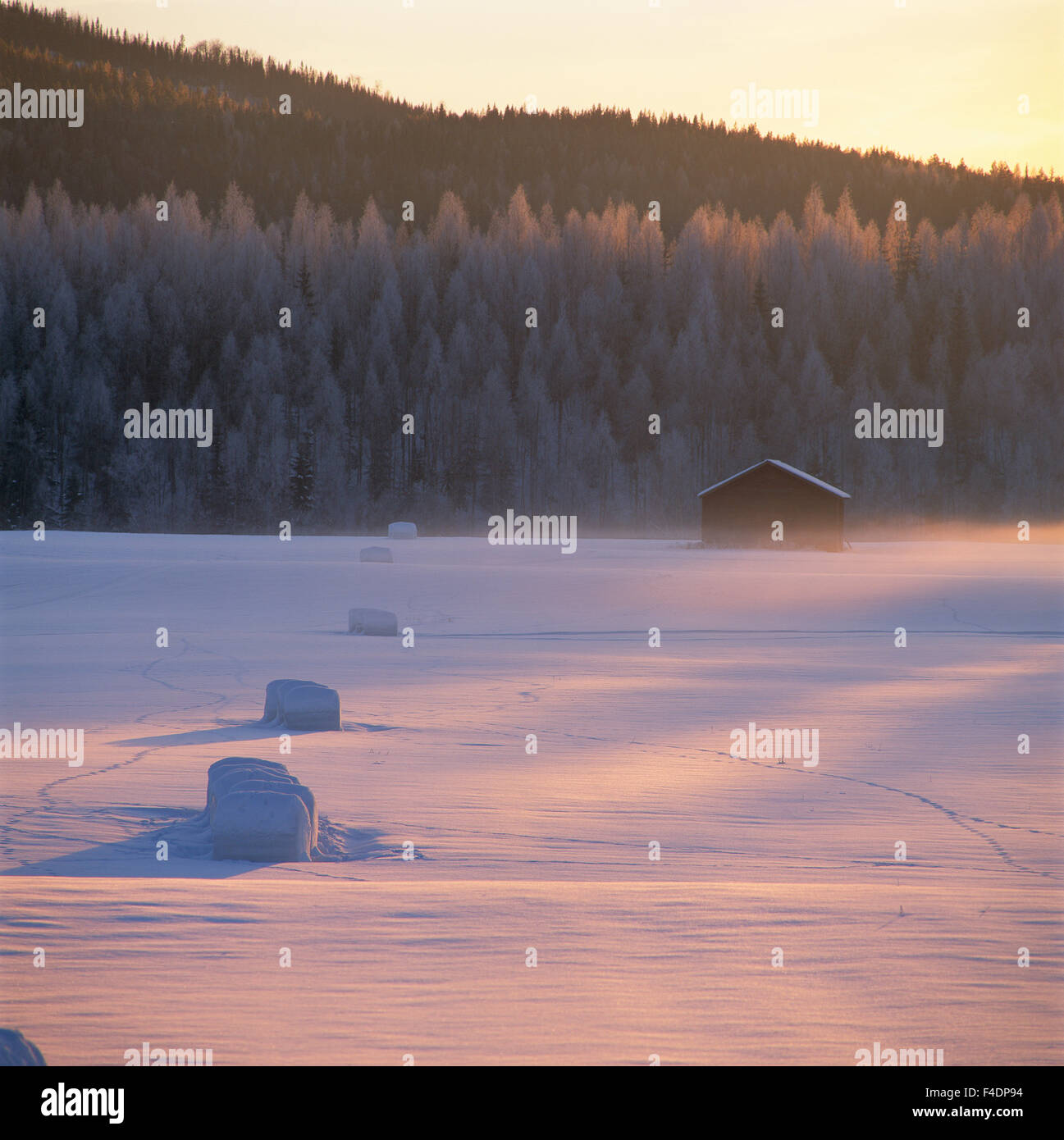Dans le champ de neige en plein soleil. Banque D'Images