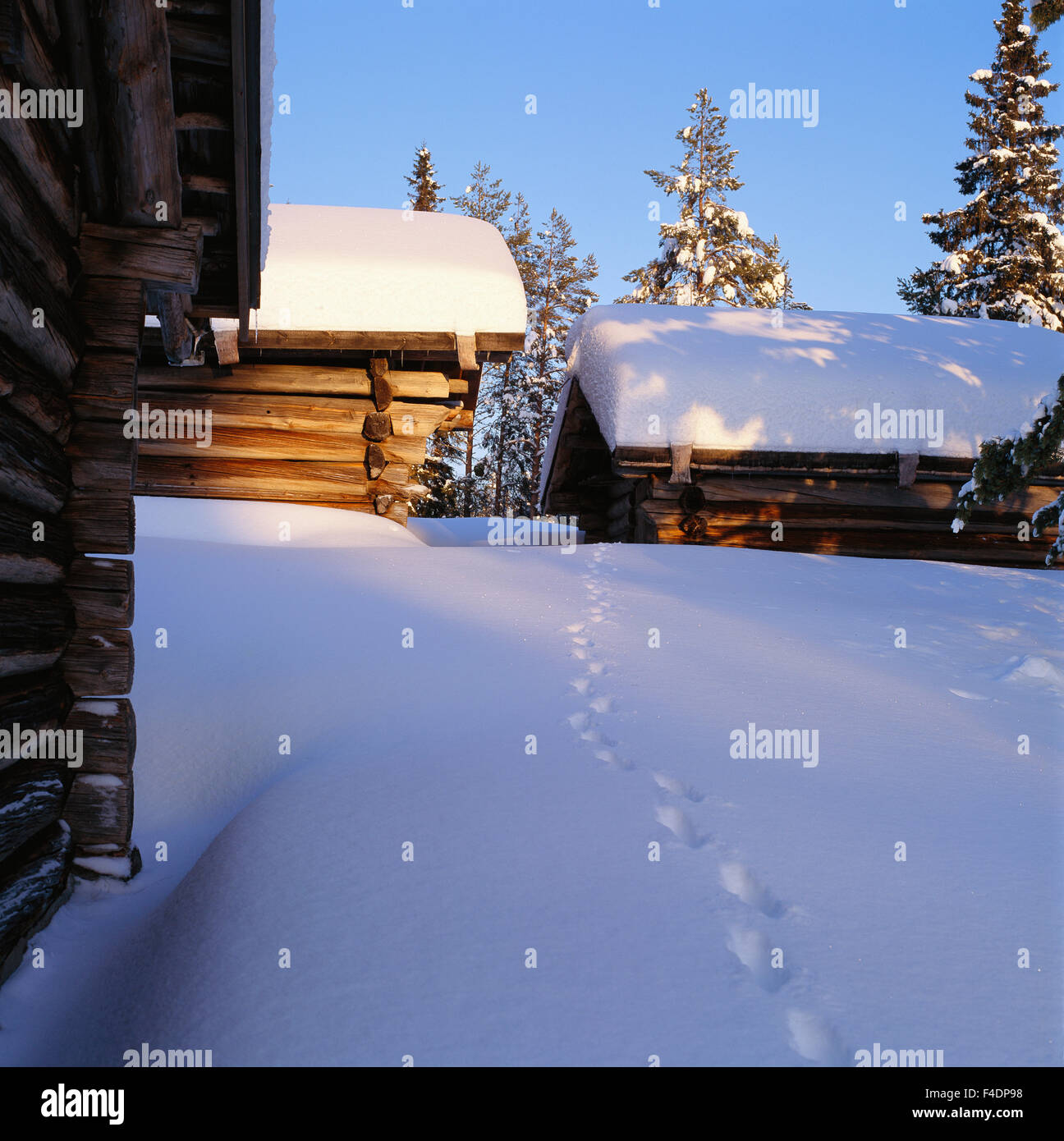 Des maisons de neige. Banque D'Images
