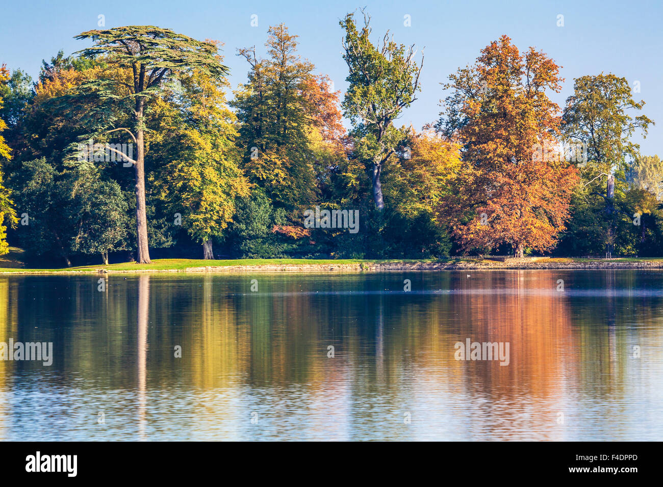 Vue d'automne sur le lac sur le Bowood Estate dans le Wiltshire. Banque D'Images