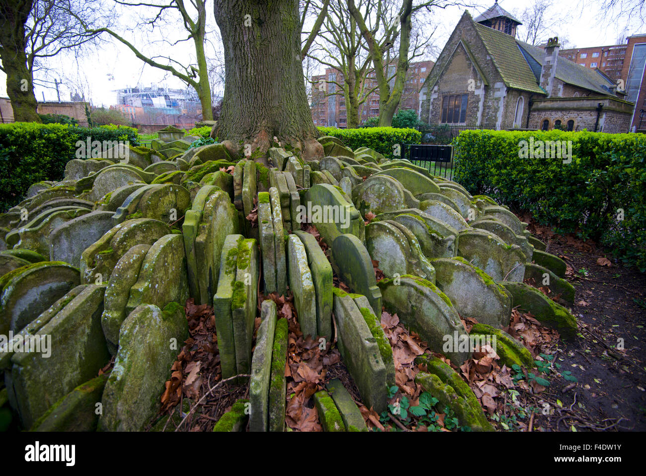 L'arbre rustique. Lorsque la ligne de chemin de fer intérieur a été construit sur le cimetière de Saint-pancras, dans les années 1860, l'architecte Arthur Bloomfield a dû déplacer des pierres tombales. Tailles disponibles (grand format) Banque D'Images