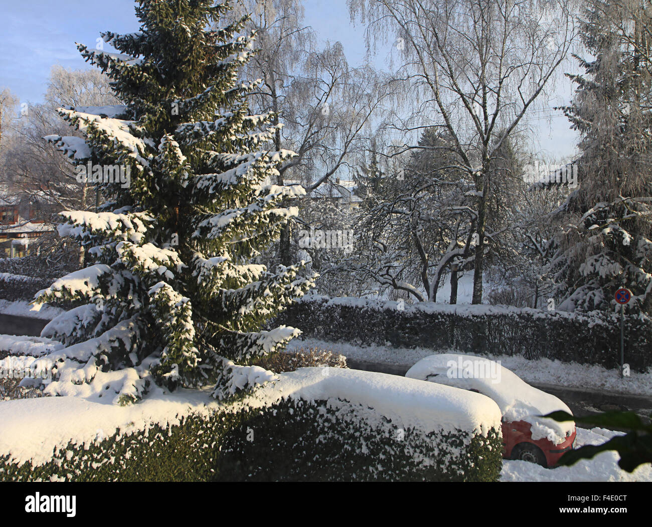 Garching, Allemagne - après soleil neige avec voiture et les arbres couverts de blanc Banque D'Images