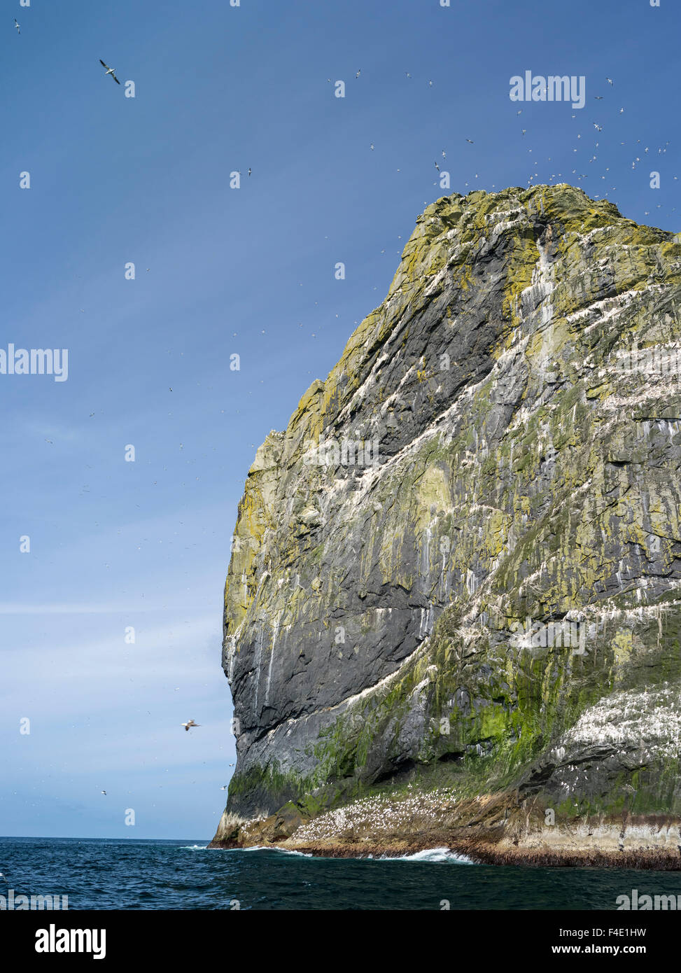 Les îles de l'archipel de St Kilda en Ecosse. Stac Lee ayant le plus grand fou de bassan (Morus bassanus) colonies dans le monde entier. Tailles disponibles (grand format) Banque D'Images