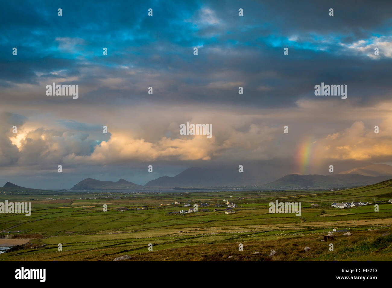 La lumière du soleil du soir sur la péninsule de Dingle, comté de Kerry, Irlande. Banque D'Images