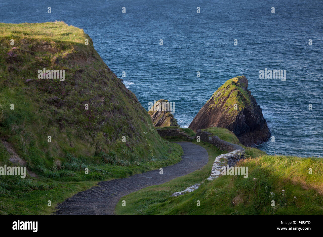 Route de la mer, Dunquin, péninsule de Dingle, comté de Kerry, Irlande Banque D'Images