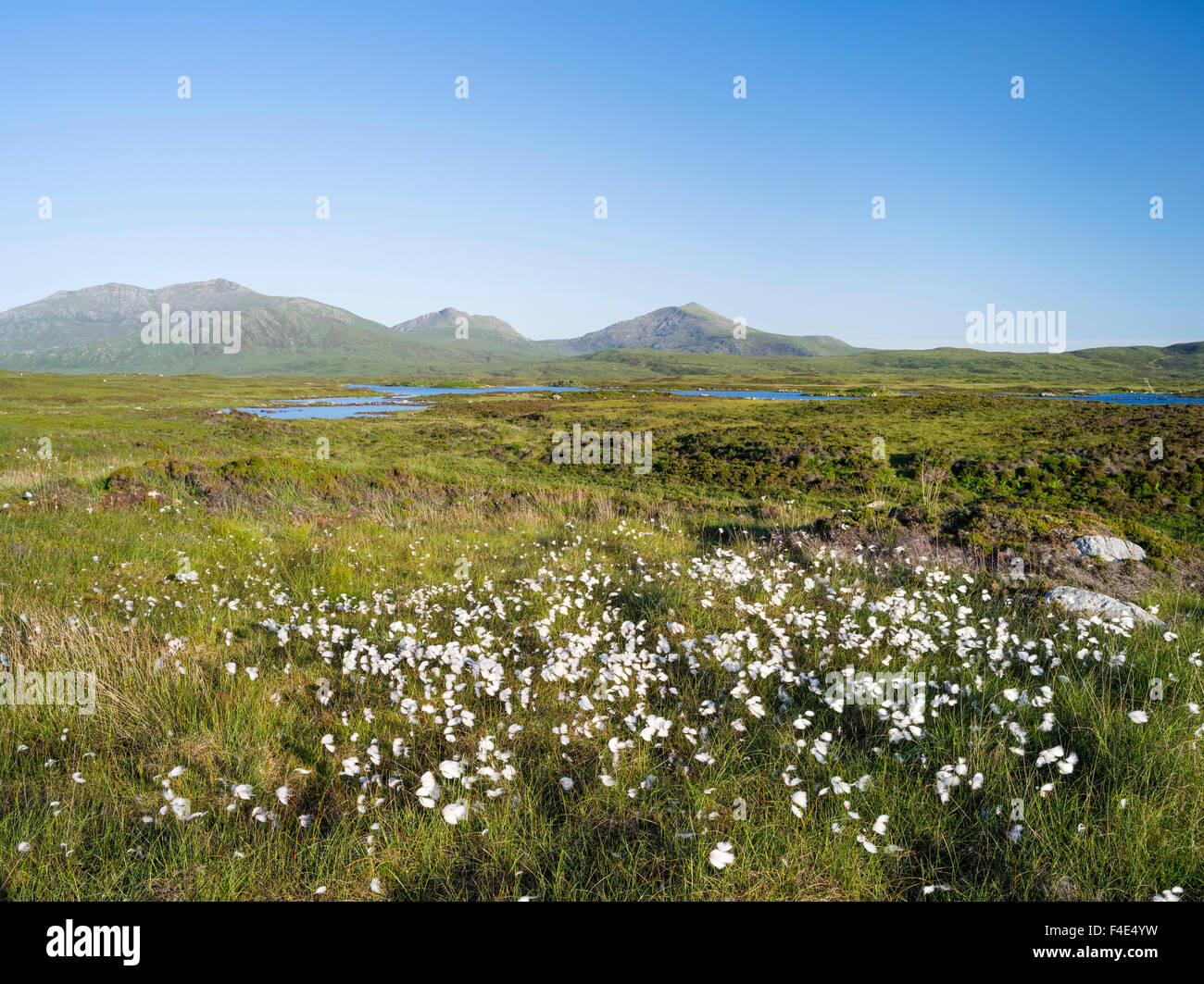 Paysage sur l'île de South Uist (Uibhist une Deas). Loch Druidibeg zone protégée. L'Europe, l'Ecosse (grand format formats disponibles) Banque D'Images