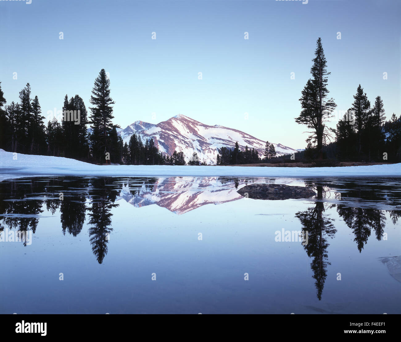 En Californie, la Sierra Nevada, Yosemite National Park, des pics de mammouth qui reflète de manière partiellement congelée tarn au Tioga Pass. Tailles disponibles (grand format) Banque D'Images