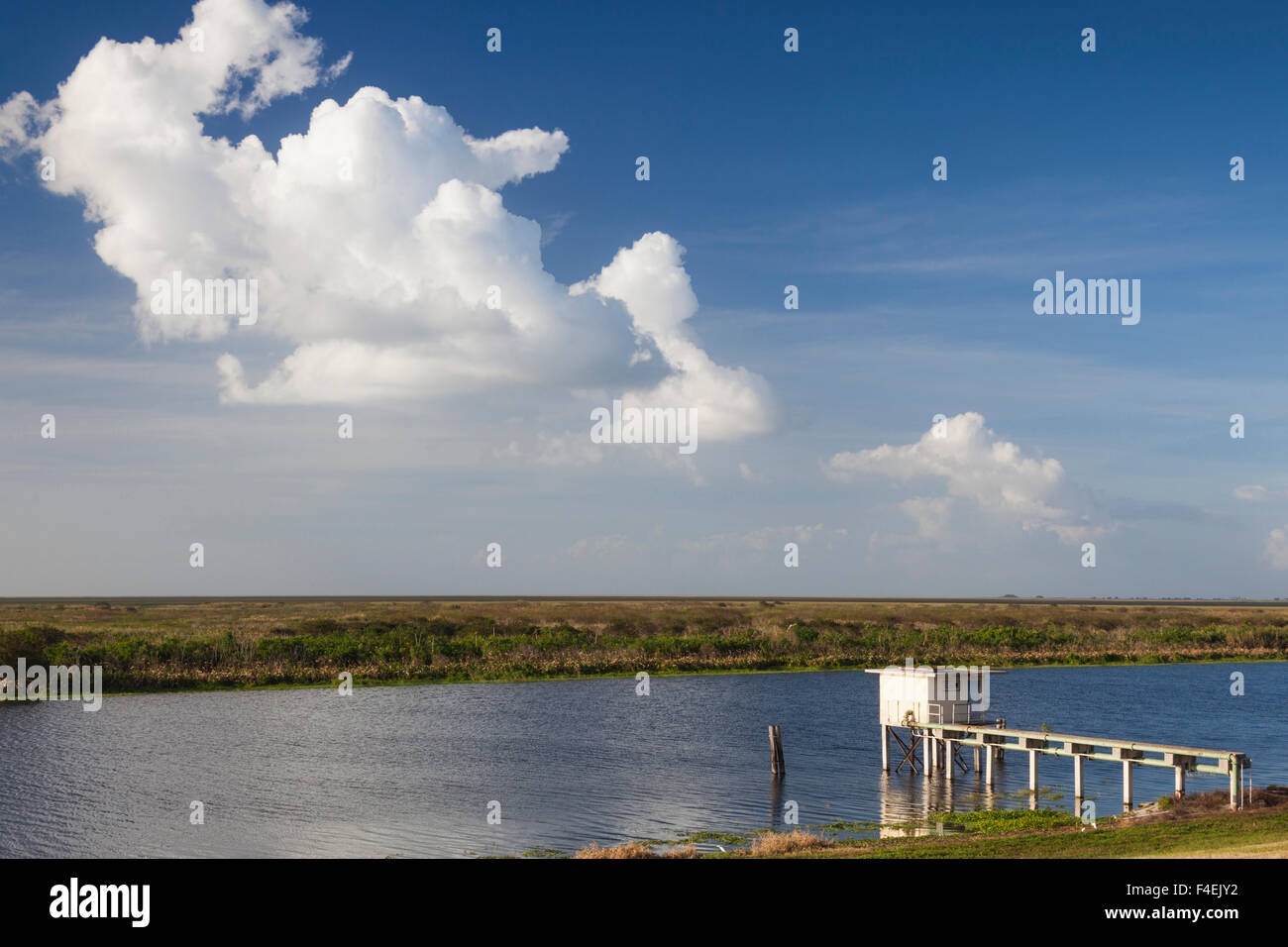 USA, Floride, Ville de haricots, vue du lac Okeechobee. Banque D'Images