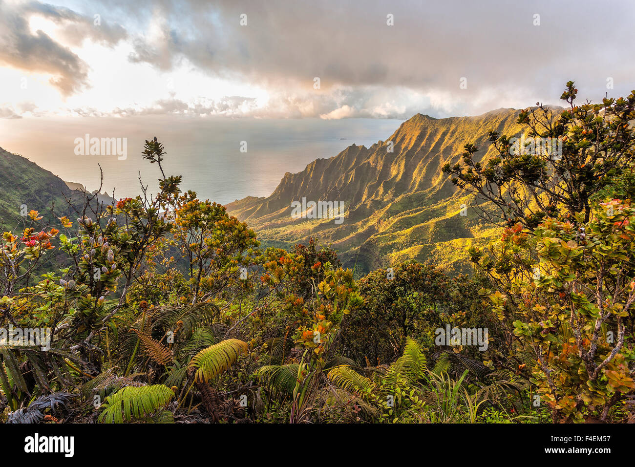 Donnant sur la vallée Kalalau juste avant le coucher du soleil Banque D'Images
