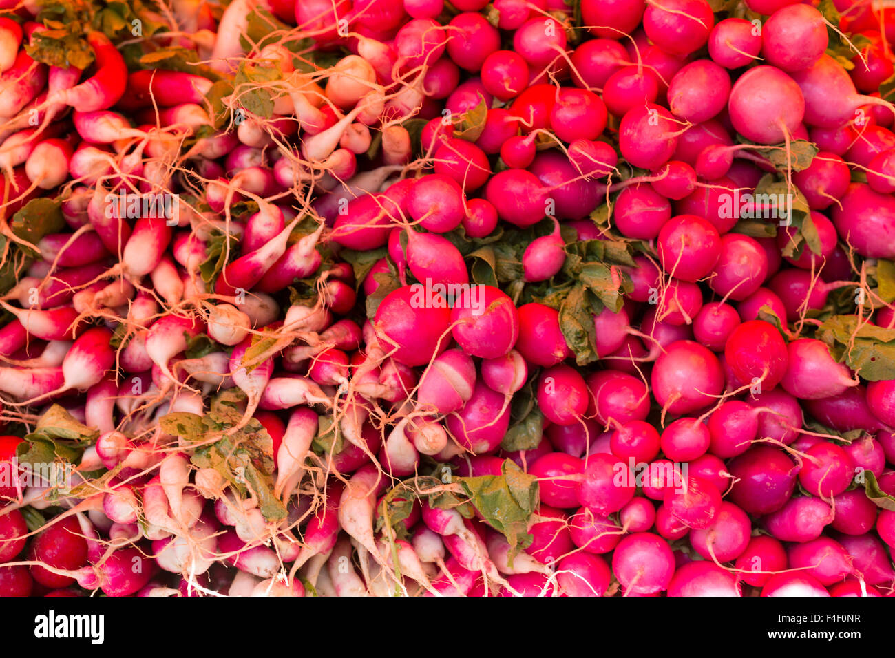 New York, NY, USA. Farmers Market. Banque D'Images