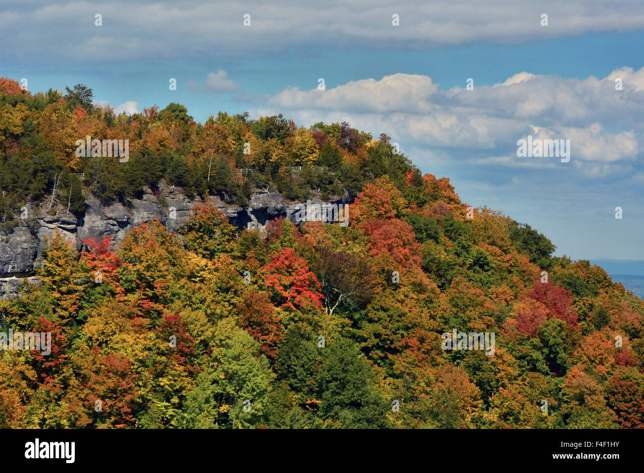 Couleurs d'automne à John Boyd Thatcher State Park, New York, USA. Banque D'Images