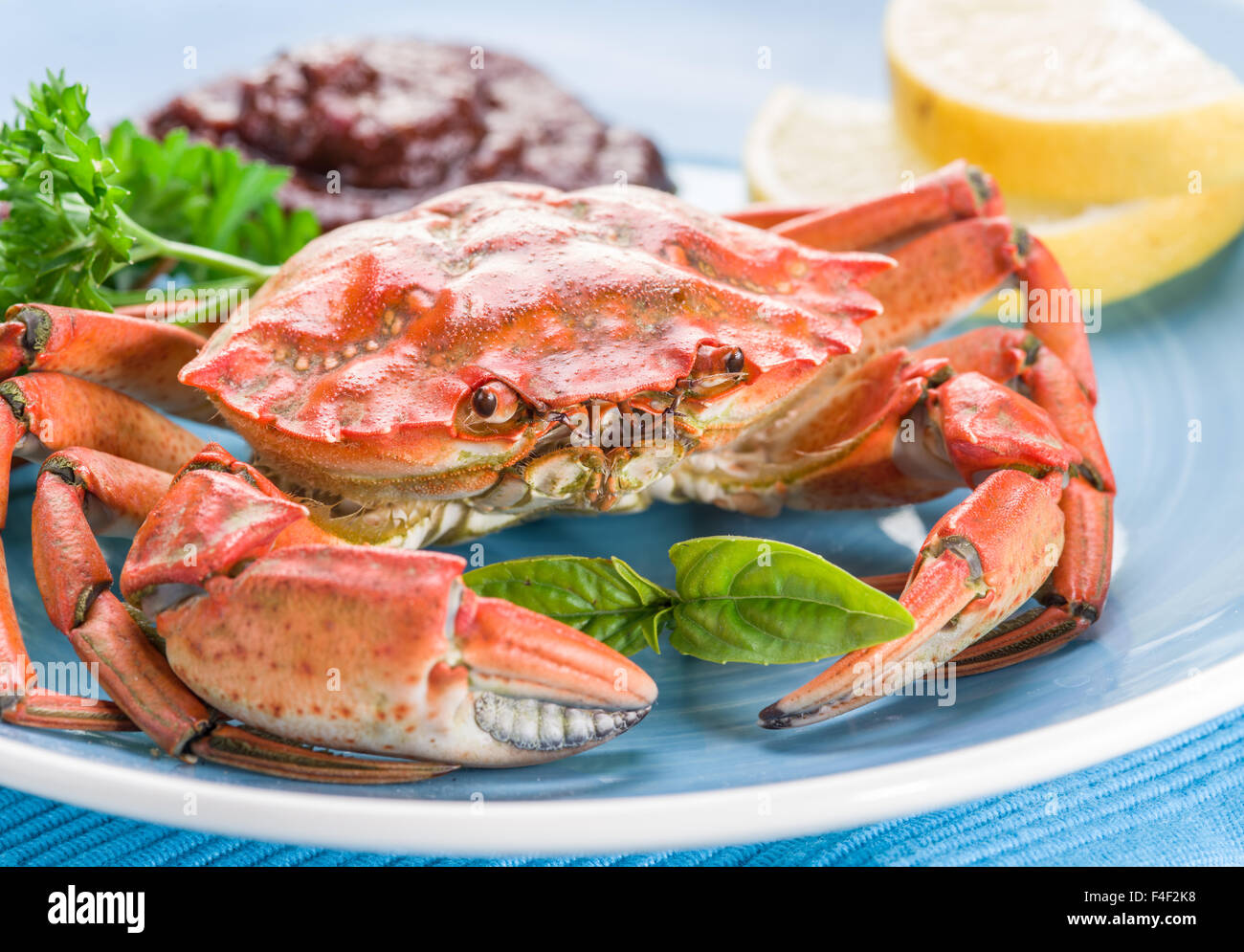 Plat de fruits de mer - crabe cuit avec du citron et les herbes. Banque D'Images