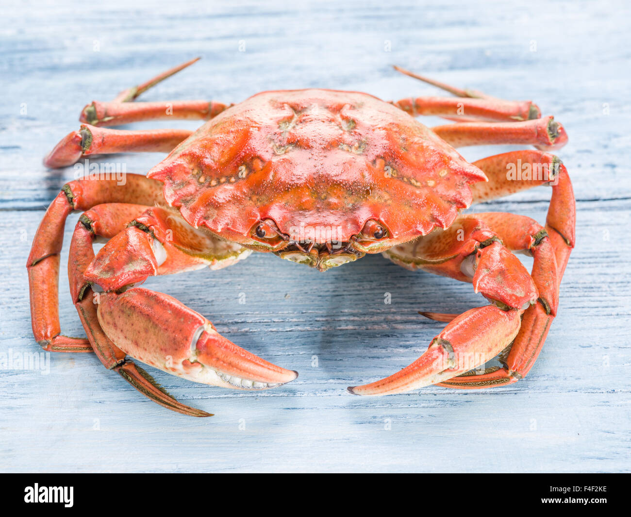 Crabe cuit sur la vieille table en bois bleu. Banque D'Images