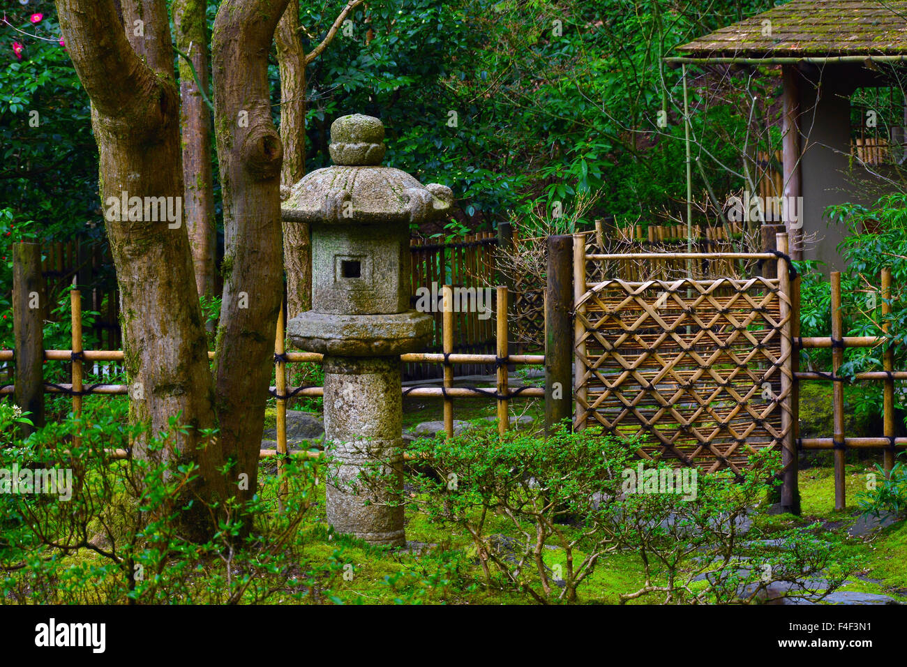 Pagode, clôture, et les arbres, le jardin japonais de Portland, Portland, Oregon, USA (PR) Banque D'Images