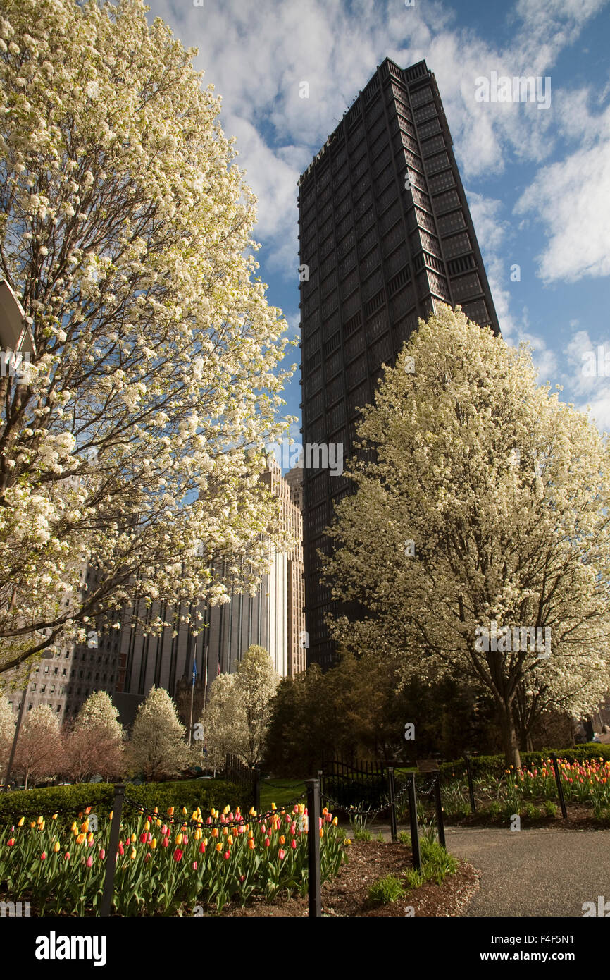 Arbres en fleurs et tulipes fleurissent en vert Mellon sous l'US Steel Tower, 64 étages de haut, plus haut de Pittsburgh PA. Banque D'Images