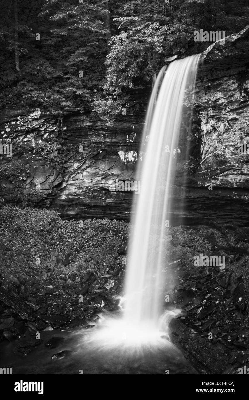 USA, West Virginia, Pocahontas Comté. Le troisième des trois chutes d'eau connue sous le nom de chutes de Hills Creek. Banque D'Images