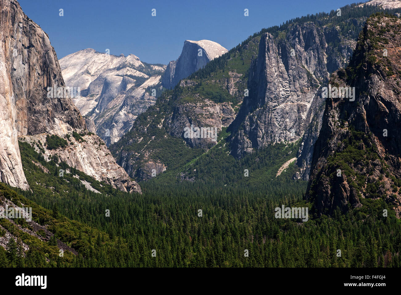 En vue de la vallée de Yosemite Vue de Tunnel, demi-dôme derrière, Yosemite National Park, California, USA Banque D'Images