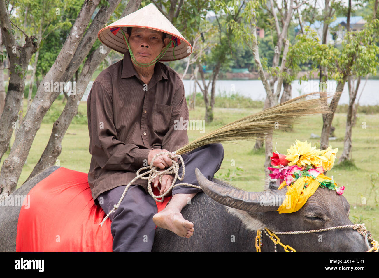 L'homme vietnamien est assis sur un buffle d'eau dans l'ancienne capitale Hua lu pour attirer des occasions de photo avec les touristes, Vietnam, Asie Banque D'Images