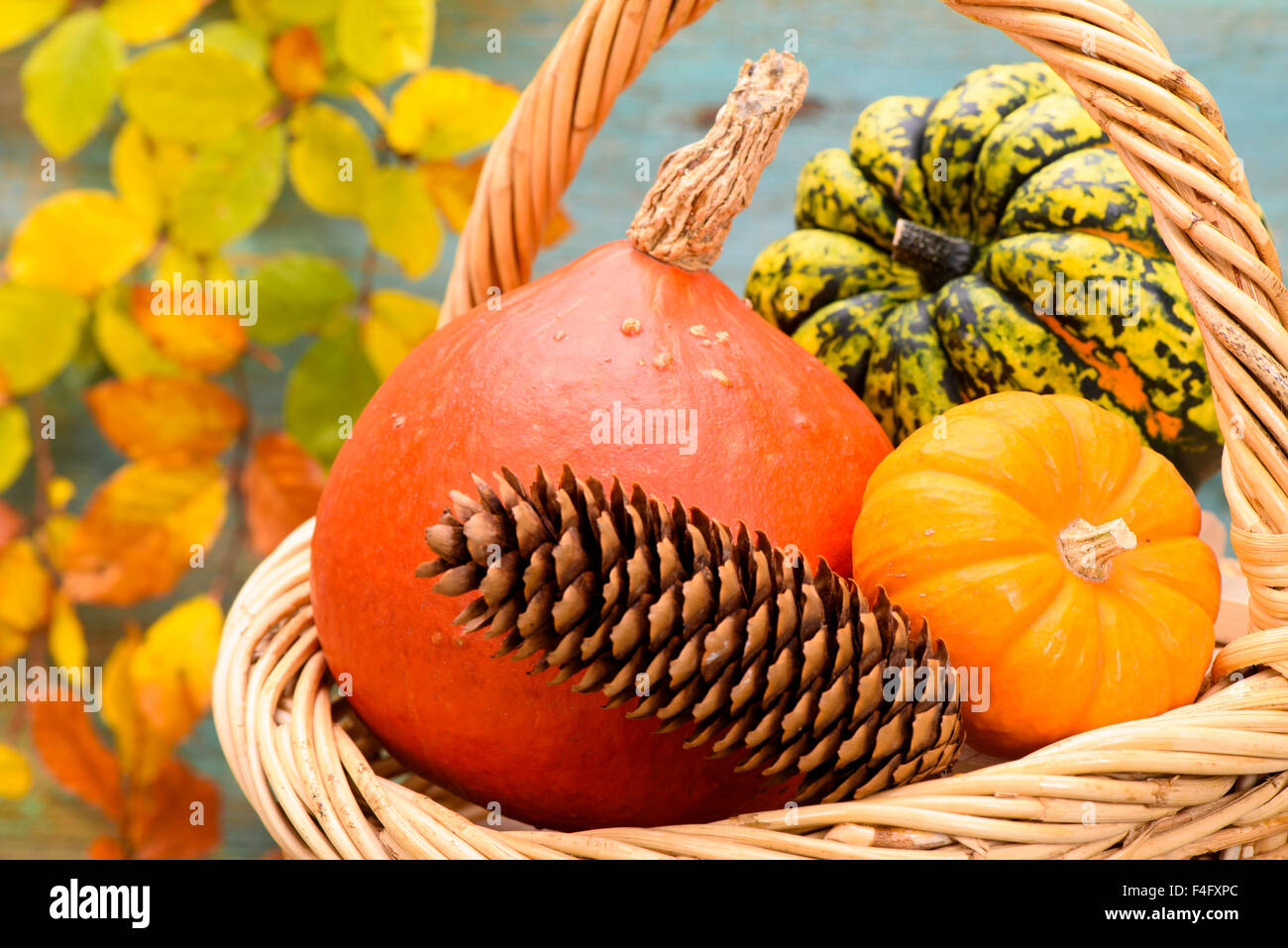 Automne décoration de citrouilles et feuilles Banque D'Images