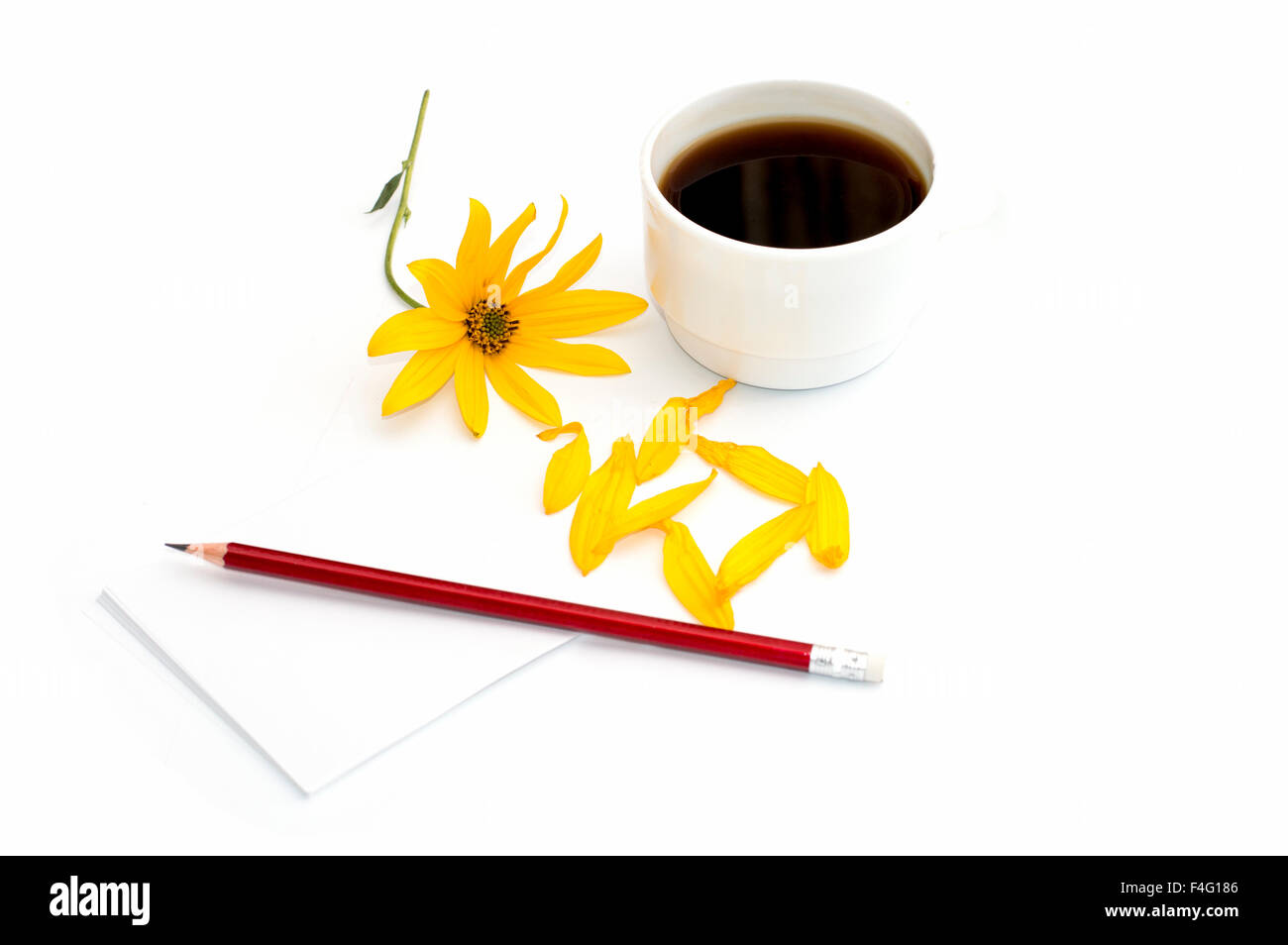 Tasse de café, fleur jaune, pétales et crayon sur papier, l'image isolée, une nature morte Banque D'Images