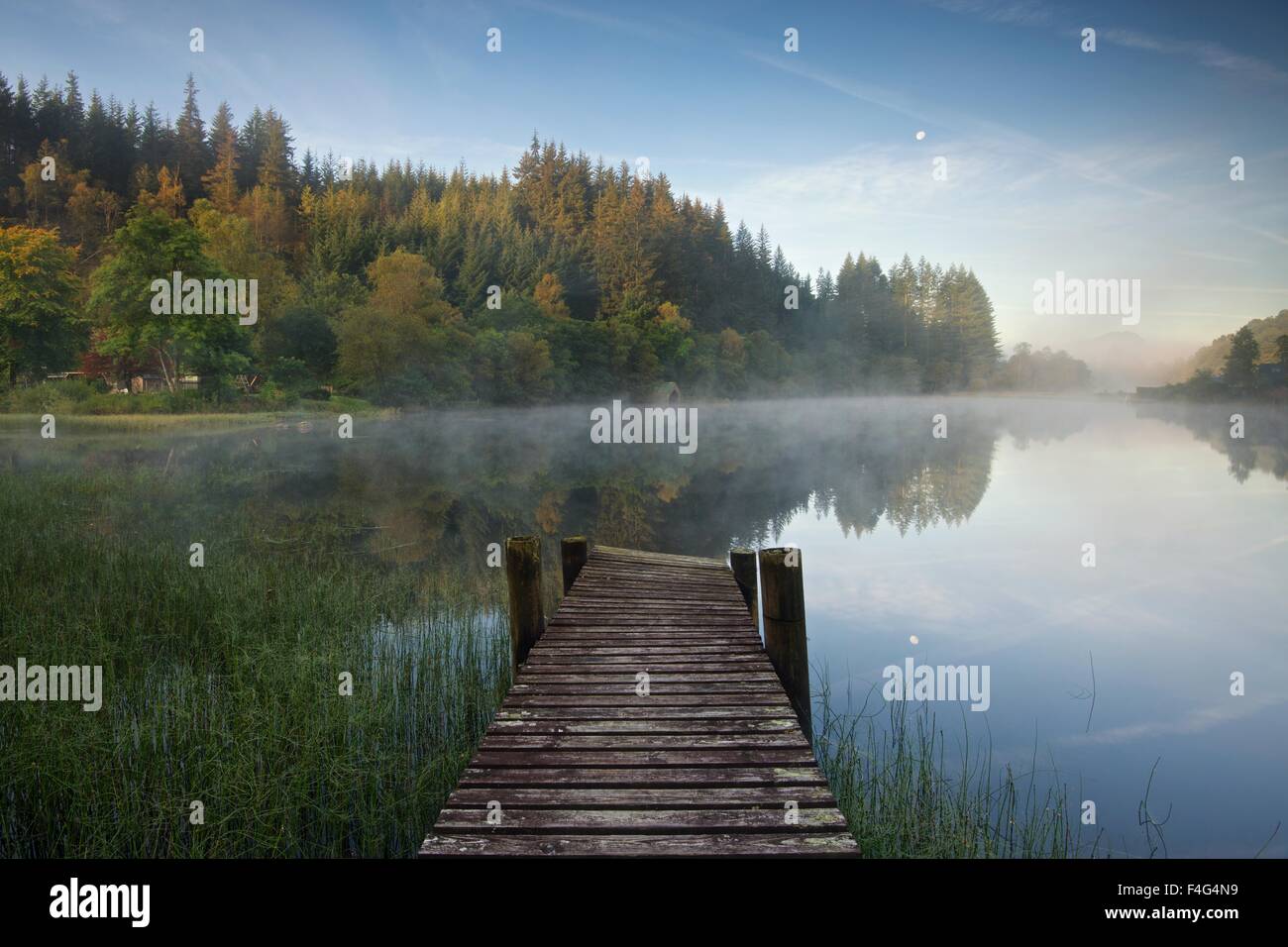 Couleurs d'automne s'affichant sur l'autre autour de Loch Ard Banque D'Images