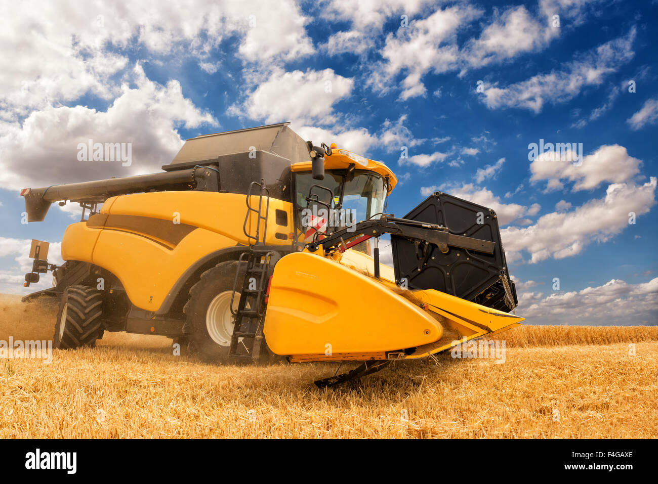 A proximité de la moissonneuse-batteuse moderne en action. Banque D'Images
