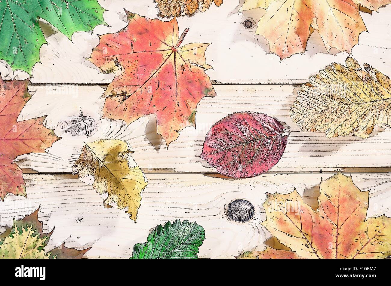 Automne Fond Arrière Plan De Couleur Naturelle Avec Des