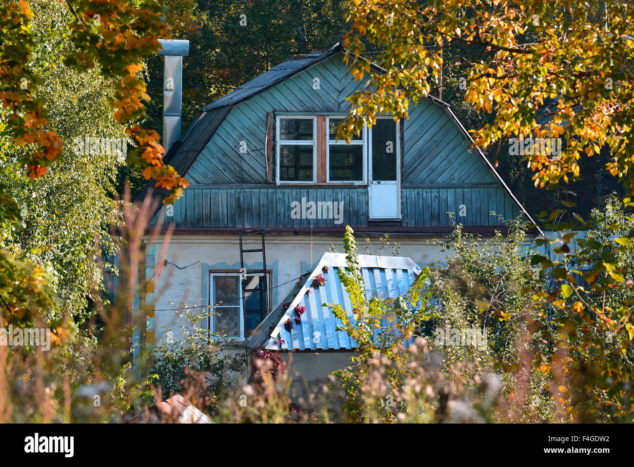 Maison en bois parmi les arbres jaunis - automne paysage rural Banque D'Images