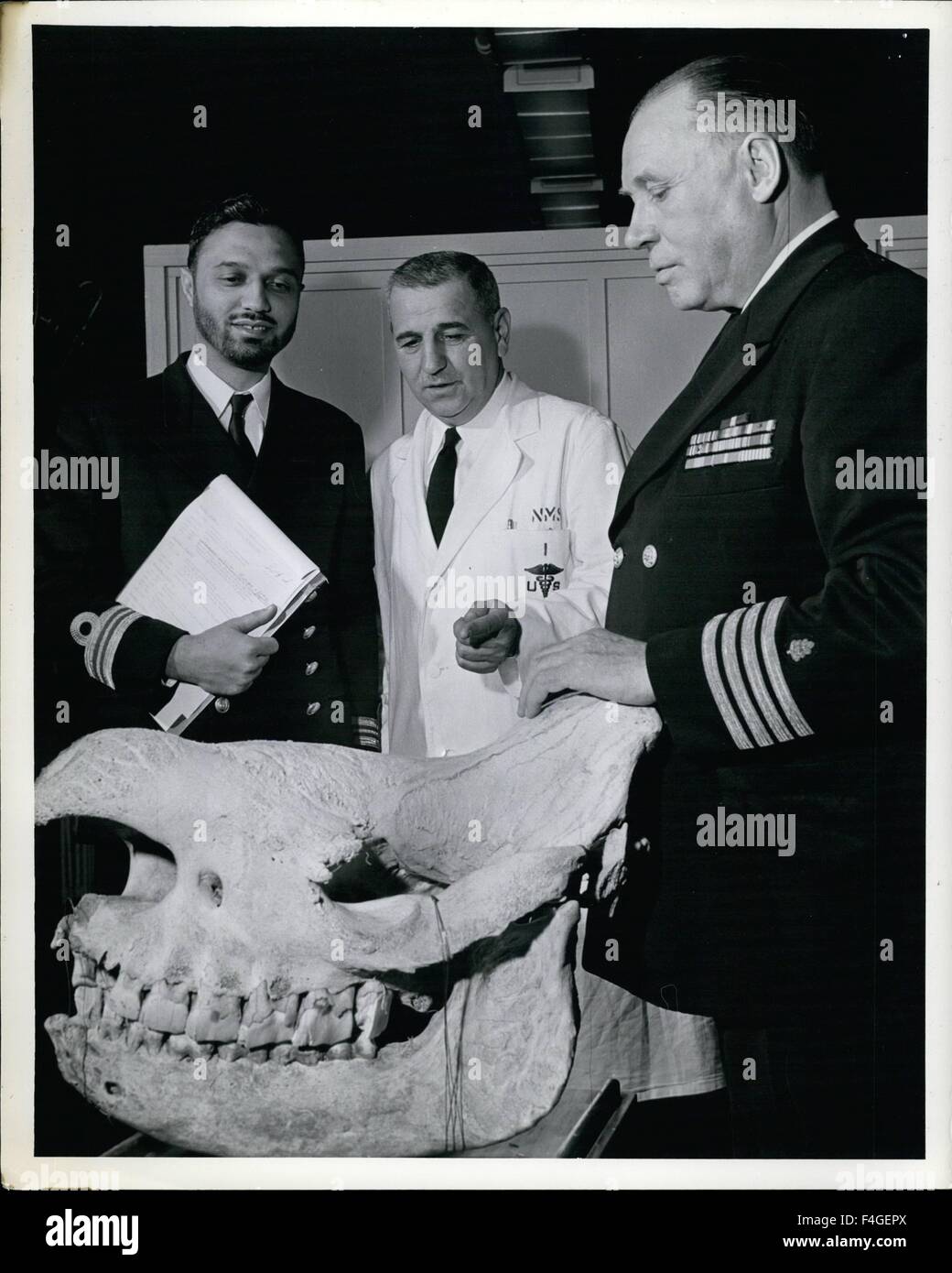 24 mai 1957 - lutte contre les maladies tropicales, les médecins de la marine Ã¢â€" Le capitaine Julius M. Anderson, corps médical, USN, chef de la division de la médecine préventive, National Naval Medical Center, Bethesda, Maryland, droite, aborde le problème de la maladie du sommeil avec le Lieutenant Commander Mohd Zaman soufi, gauche, chirurgien de la marine du Pakistan et le capitaine Nicholas D. Lill, Corps médical, la NSU. Le crâne dans l'avant-plan est celle d'un rhinocéros africain. Le rhinocéros, antilopes et autres animaux servir de réservoir de l'agent causal de la maladie du sommeil, est transmis à l'homme par la mouche tsé-tsé. Ma Banque D'Images