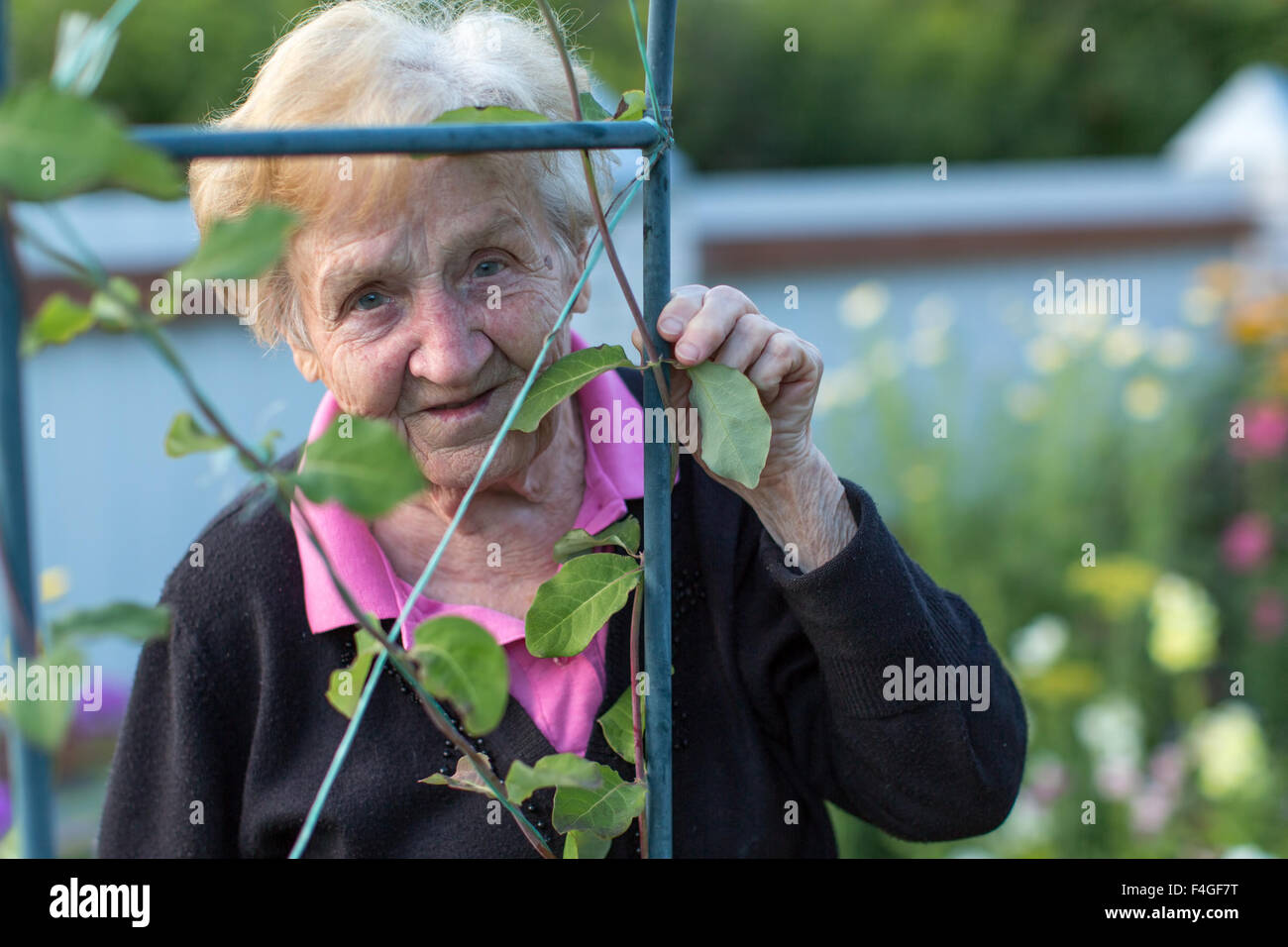 Une vieille femme dans son jardin, closeup portrait. Banque D'Images