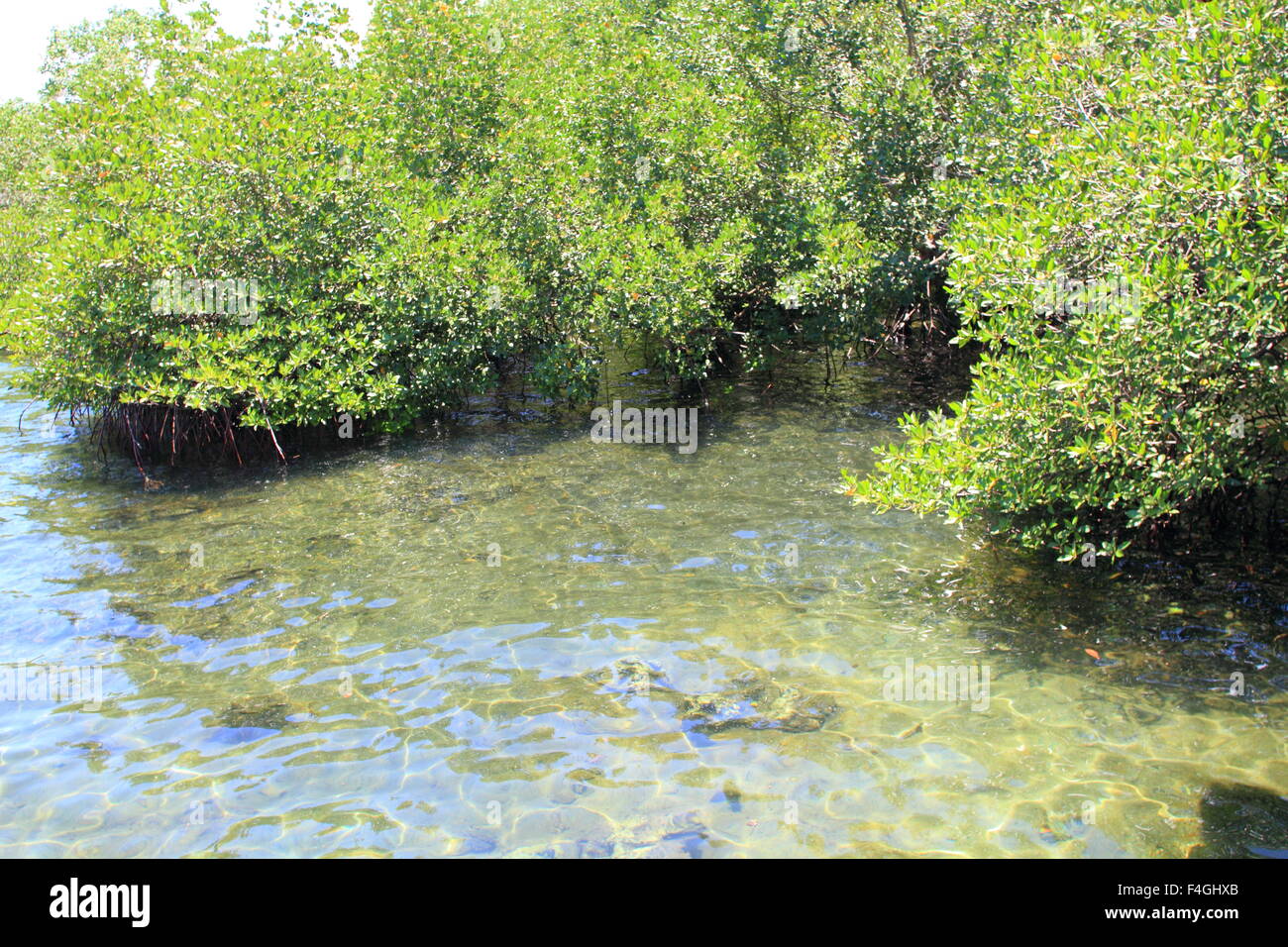 Parc National de la rivière souterraine de Puerto-Princesa Banque D'Images