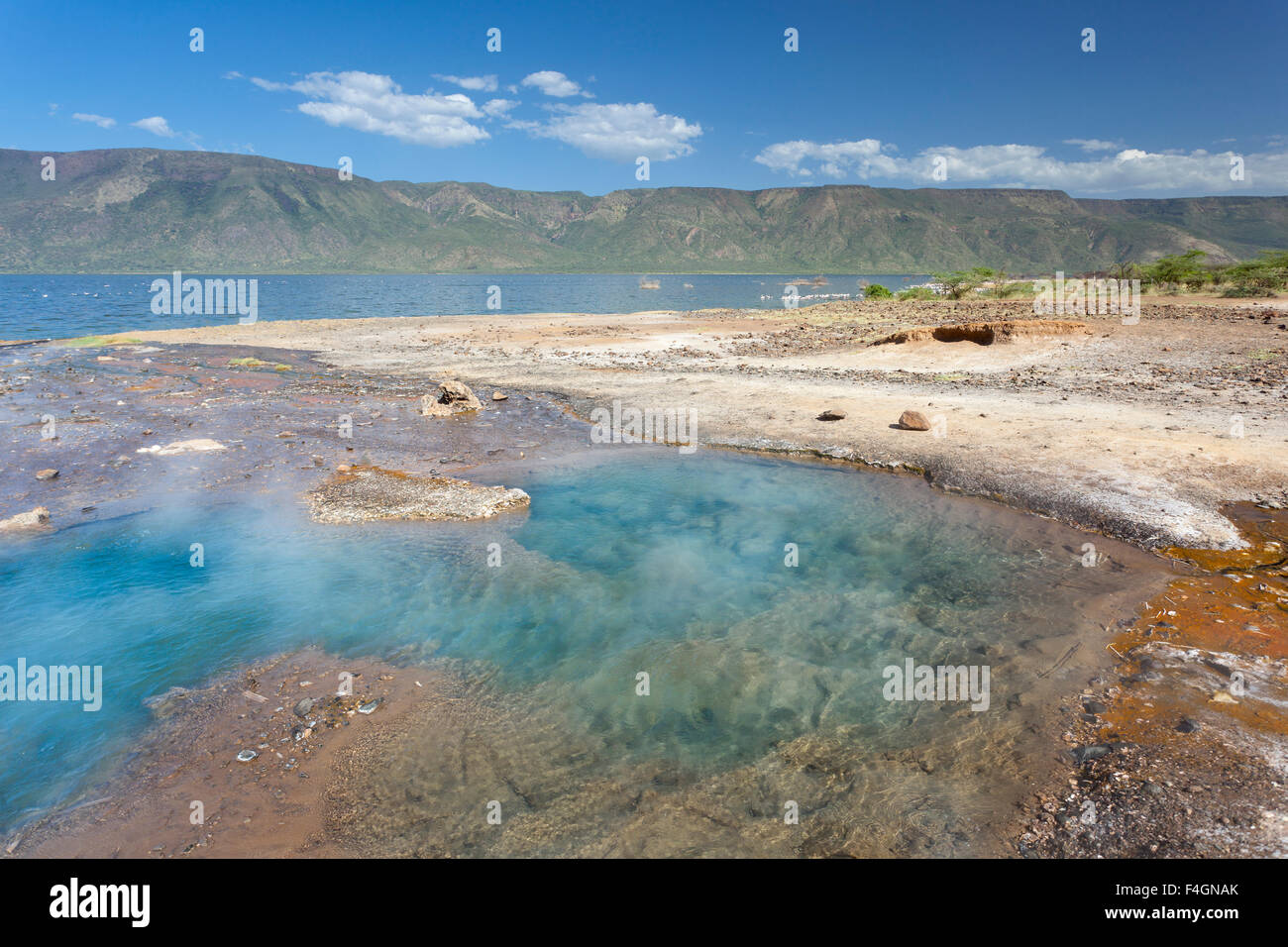 Hot springs au lac Bogoria, au Kenya. Banque D'Images