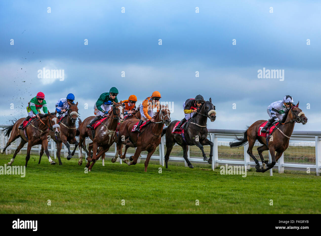 Cheval de course au galop Banque de photographies et d’images à haute résolution Alamy