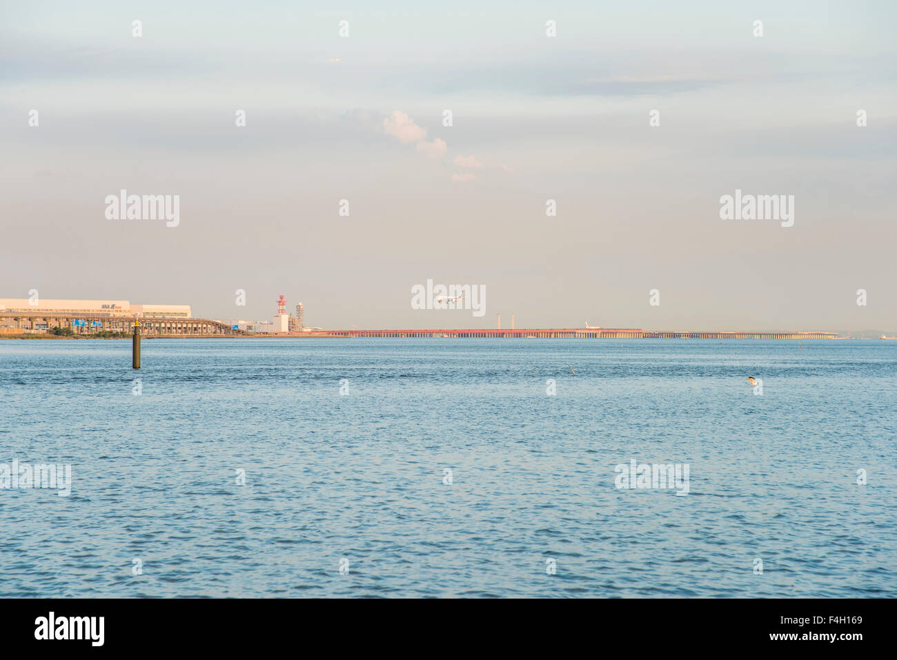 L'atterrissage d'avion,l'aéroport de Haneda, Tokyo, Tokyo, Japon Banque D'Images