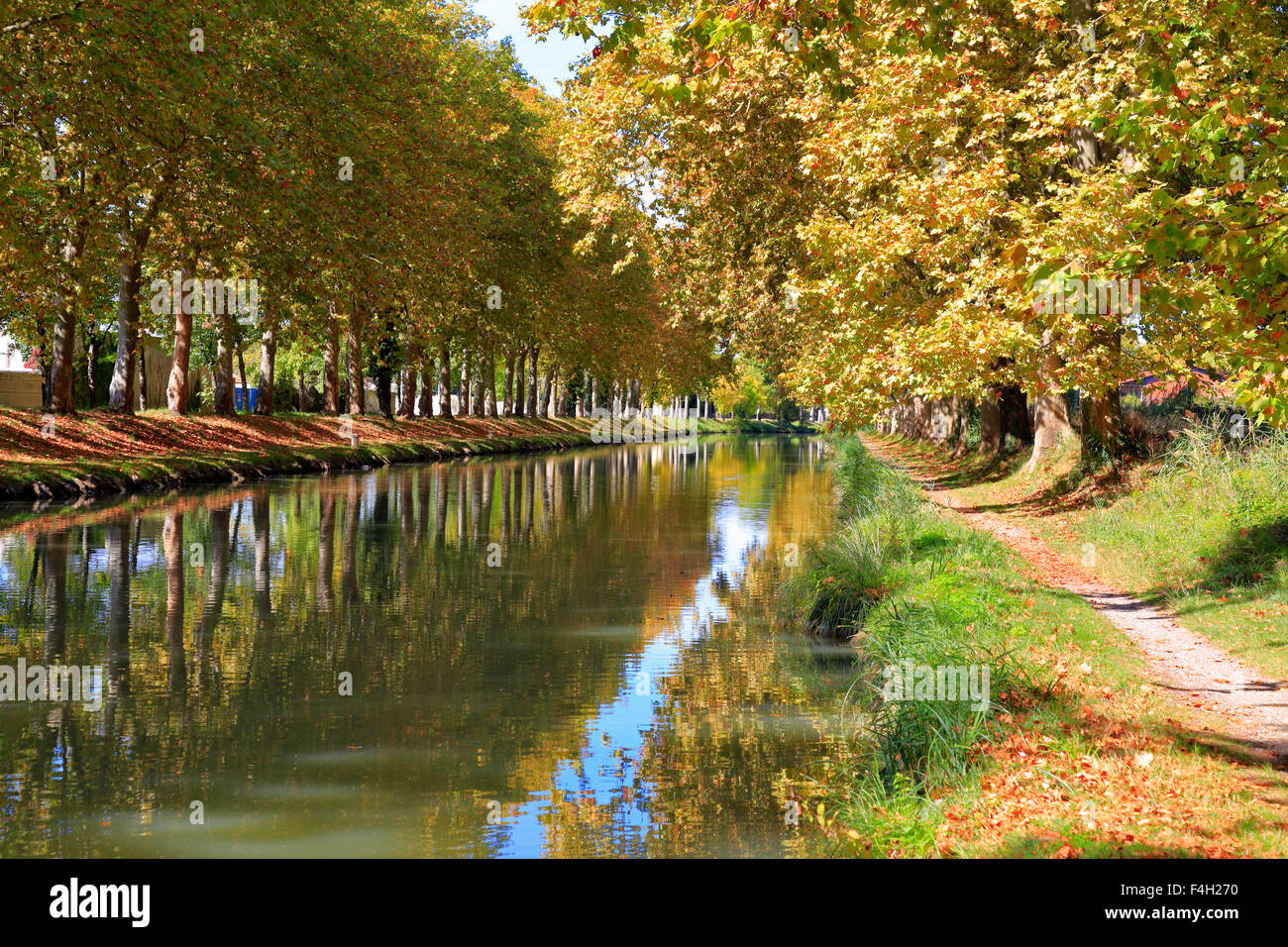 Canal du Midi, Carcassonne, Aude, Languedoc Roussillon, France. Banque D'Images