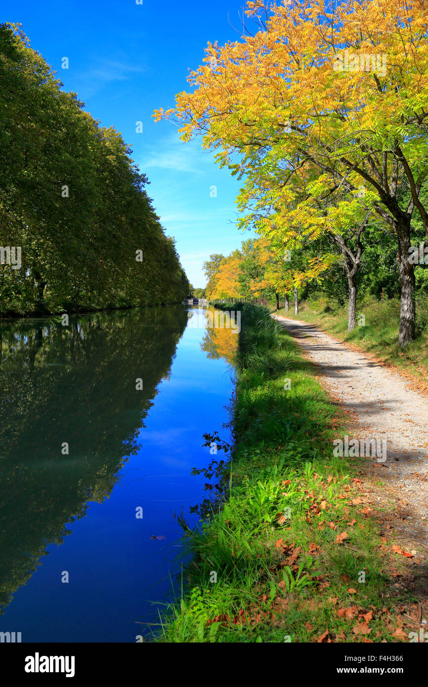Canal du Midi, Carcassonne, Aude, Languedoc Roussillon, France. Banque D'Images