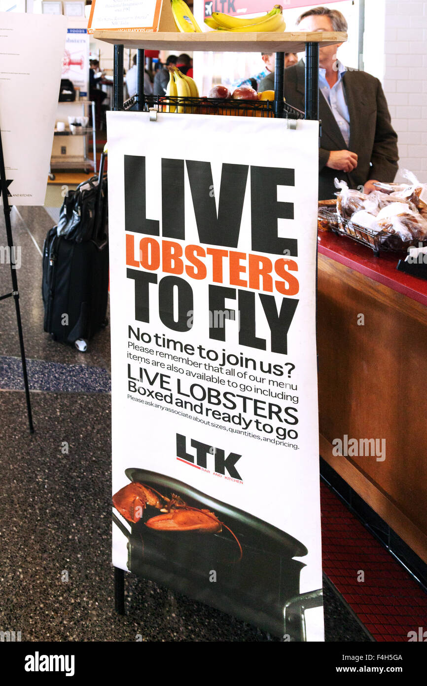 Inscrivez-vous au restaurant de fruits de mer juridique pour les homards vivants de prendre un vol, l'aéroport de Boston, Boston MA USA Banque D'Images