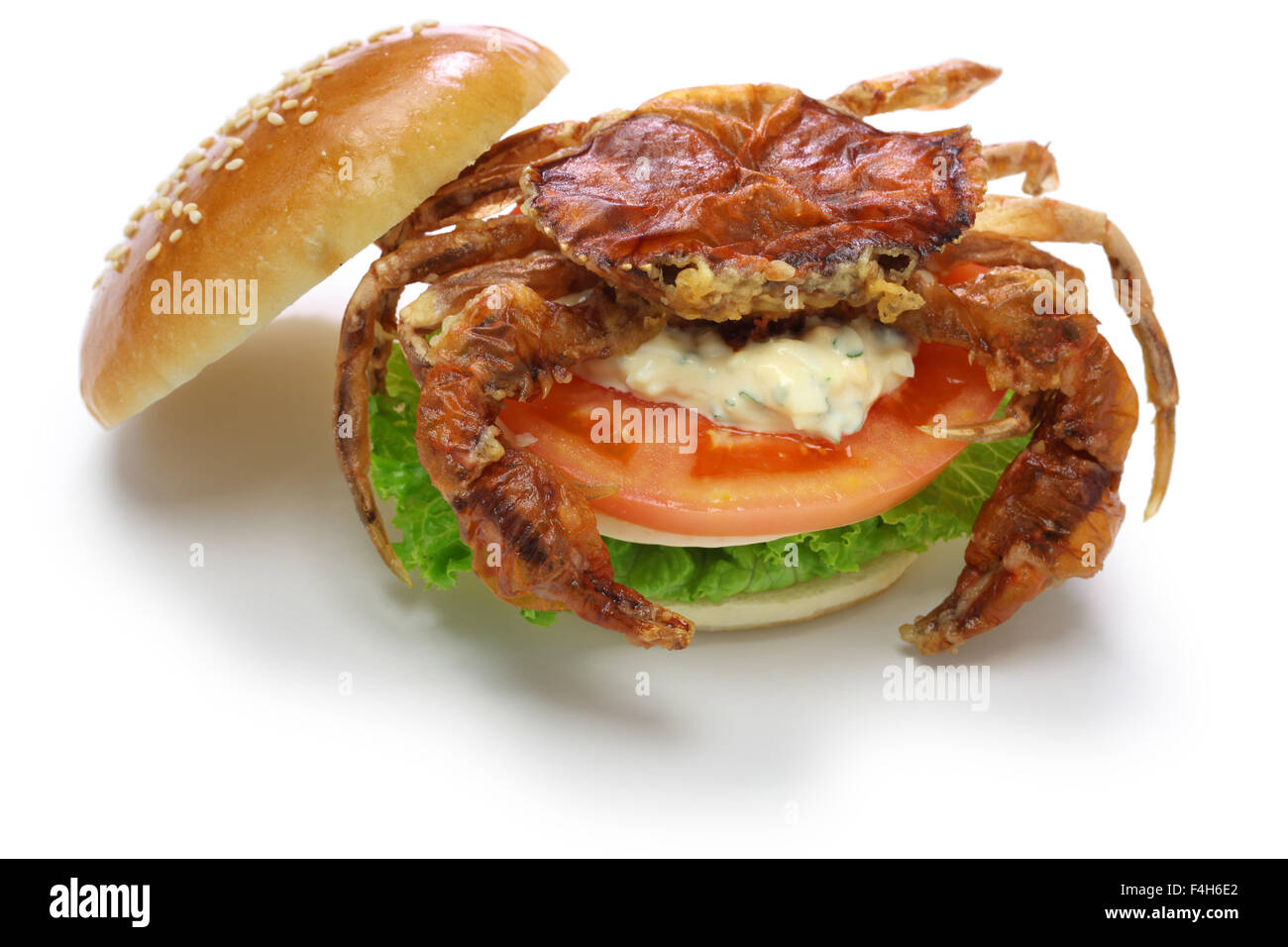 Crabe à carapace molle, sandwich sandwich spider Banque D'Images
