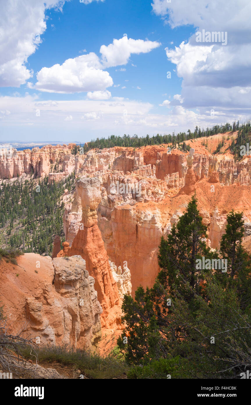 Bryce Canyon National Park, Utah USA Banque D'Images