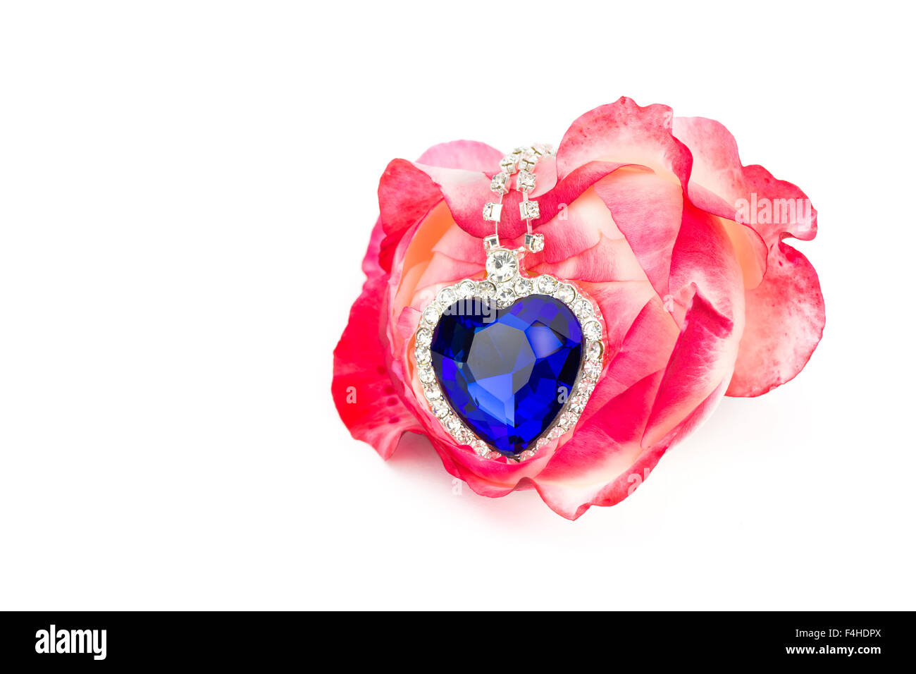 Bijoux coeur bleu en rose rouge isolé sur fond blanc Banque D'Images