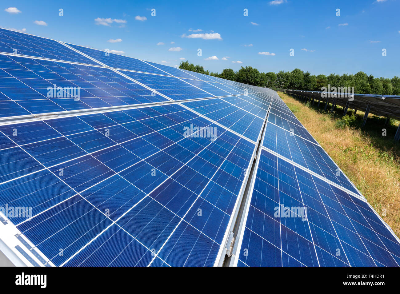 Close up of blue panneaux solaires sur terrain en longue ligne droite Banque D'Images